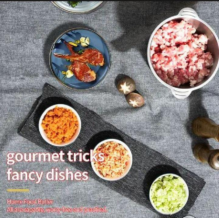 Meat Chopper 3 Litre Powerful Motor | Meat Mesh Machine